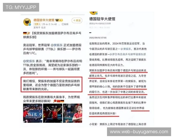 暴雪的经济影响：德甲比赛延期带来的票房与转播损失